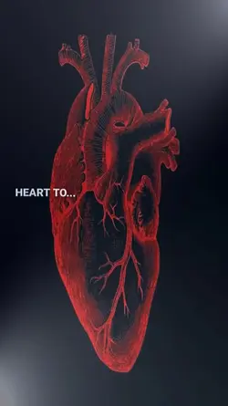 my heart to