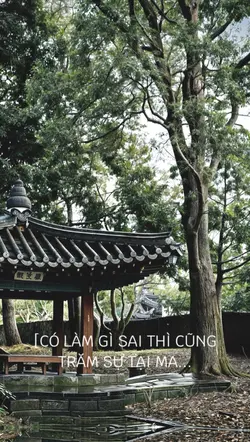 VẠN SỰ TẠI V O N G