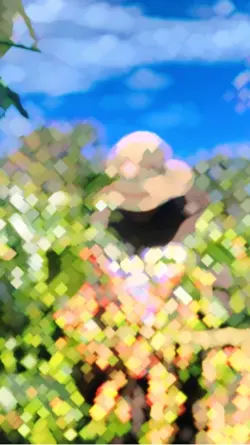…….