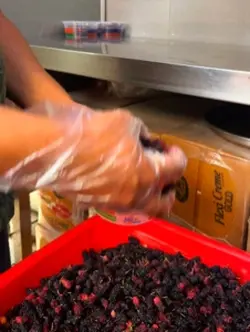 Stop Motion Fruits 