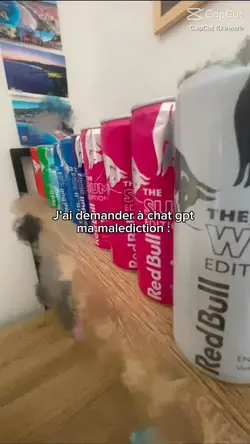 Chat gpt malédiction