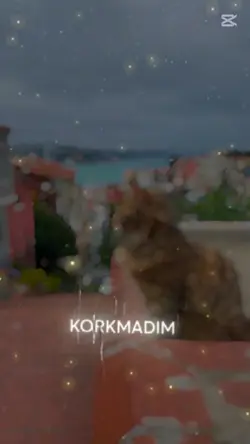 Yeni şablon 