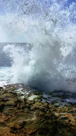 Slow Motion Reverse 