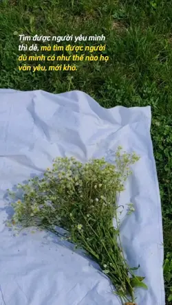 caption + màu