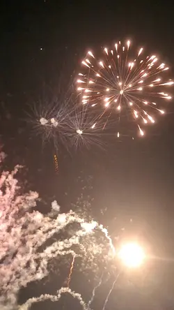 firework vivalavida