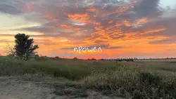 Прошел уже лето