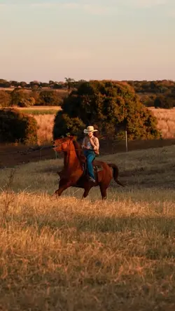 Country 