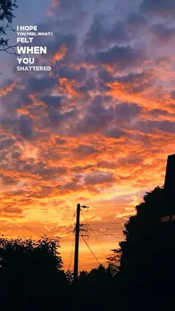 Beautiful Sunset