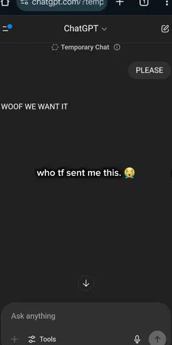 what the...