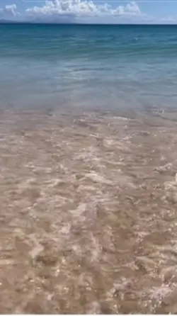 Waves 