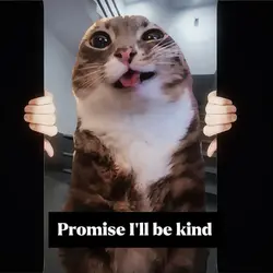 Paparazzi catmemes