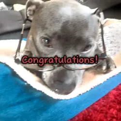 congrats!