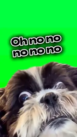 Ohnonononono
