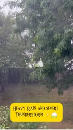 Weather