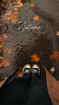 I Love Autumn