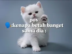 Nadhif Basalamah
