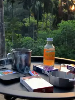 tiktok live
