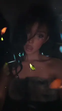 butterflies
