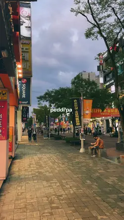 lagu bugis viral