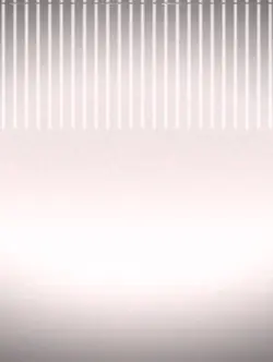 WHO IS HE?