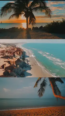 Summer vibe