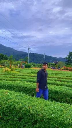 ភ្លេង​ពិរោះ​🎶☺️