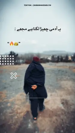 Slowmoo And Poetry 