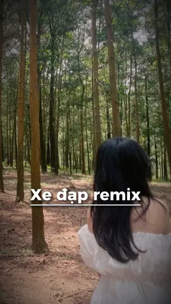 Xe đạp remix