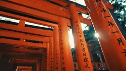 japan cinematic 