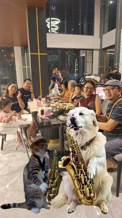 Pets and Saxophone