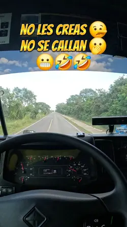 consejo
