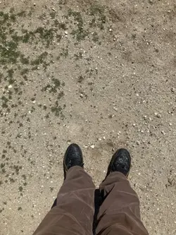 :(