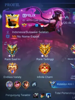 MASUKIN PROFIL ML MU