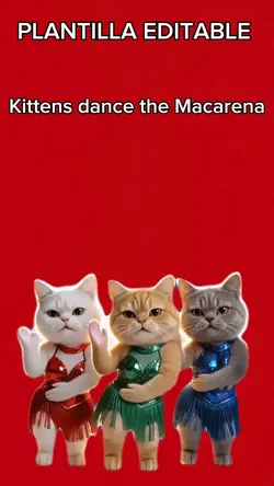 Kittens dance