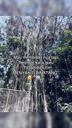 VERSI NO MIRROR