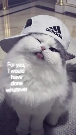 jj 1 foto