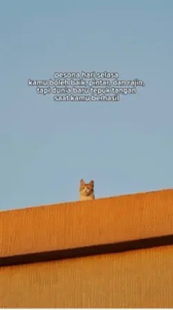 pesona hari selasa