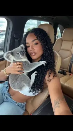 Koala 🐨 