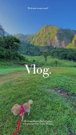 Popular Mini vlog