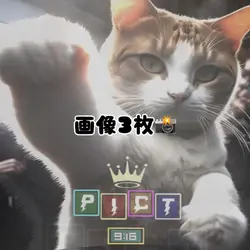 画像3枚📸