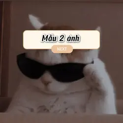 Mẫu 2 ảnh giựt giựt 