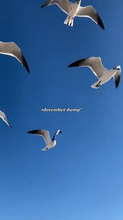 december dump 2024