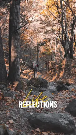 Life Reflections