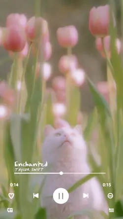 enchanted 6 clips