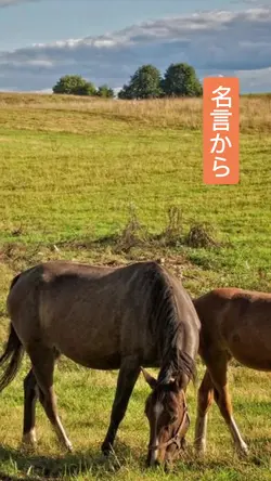 名言から