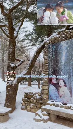 Nami Island Trip
