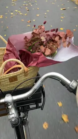 Vlog aesthetic 