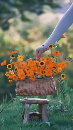 Picnic time