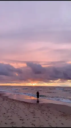 Cinematography Text