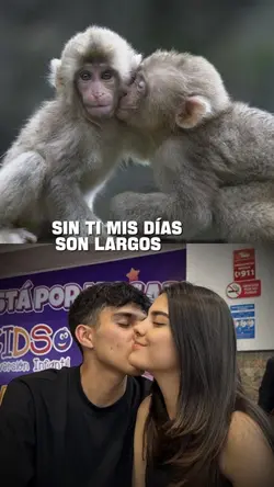 Días largos